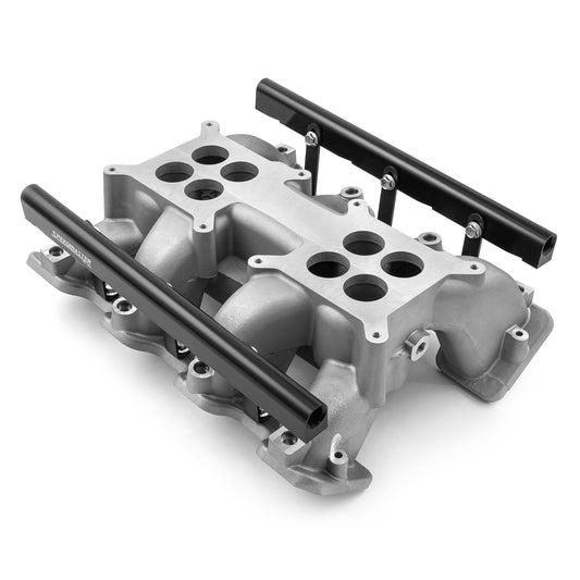 Colector de admisión de inyección de combustible de doble plano de 2x4 barriles para Chevy GM LS1 LS2 LS6, satinado